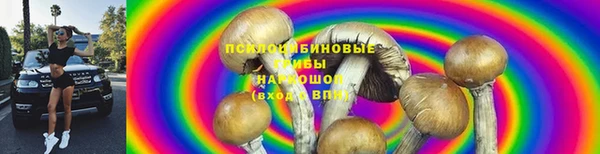 первитин Бородино