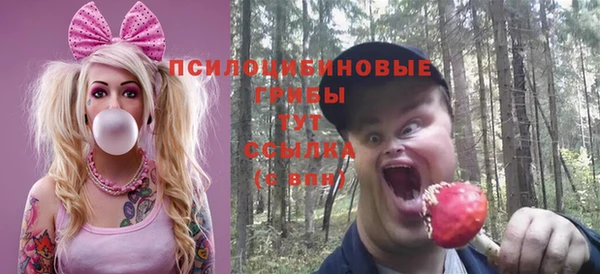 первитин Бородино